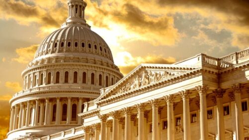 The Election and Its Ripple Effect on the Horticulture Market