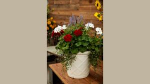 Exploring New Markets and Innovations for Varieties