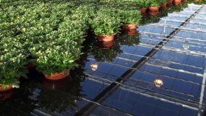 How to Prepare for the Future of Water Regulation