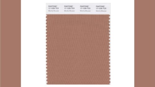 Pantone Announces Its Color of the Year 2025: Mocha Mousse