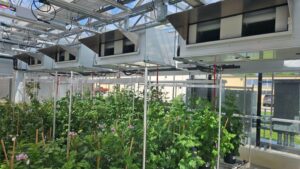 Biotherm Recognized as a 2024 Sustainable Agriculture Leader