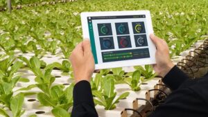 How Horticultural LEDs Contribute to Smart, Energy-Efficient Lighting
