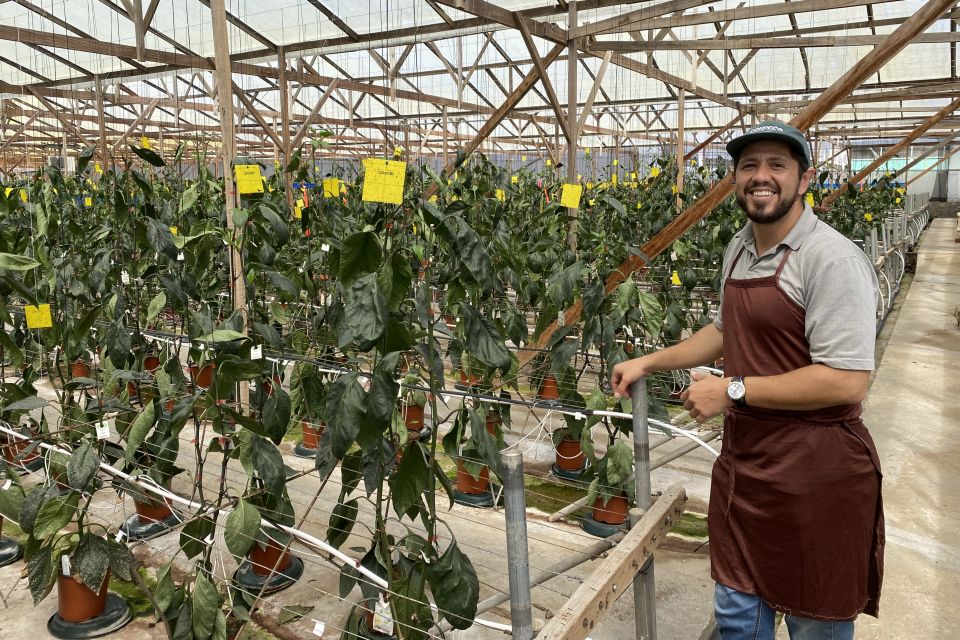 Plant Breeder German Chaves of Ball Horticultural Company