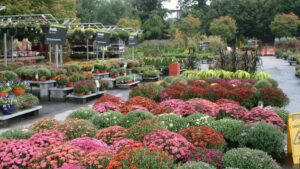 Learning Opportunity: Grower Trends to Watch for in 2026