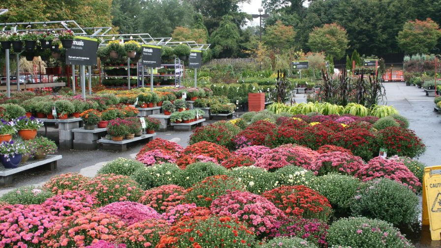 Cover Story: The Trends That Will Drive Floriculture in 2025