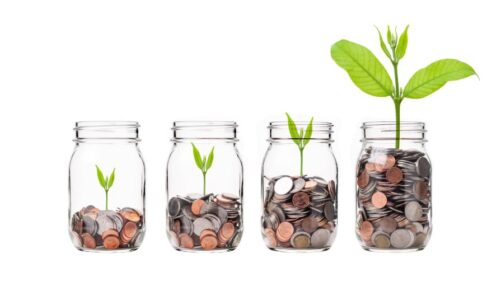 Why You Can’t Cut Corners in Horticulture Compensation and Benefits