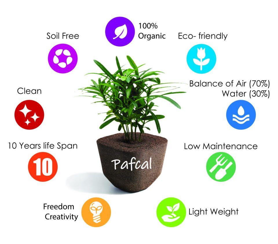 The benefits of the new soil alternative Pafcal from Suntory Flowers Midorie.