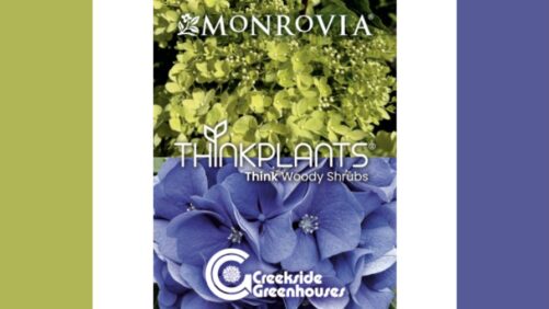 ThinkPlants Announces New Shrub Liner Program