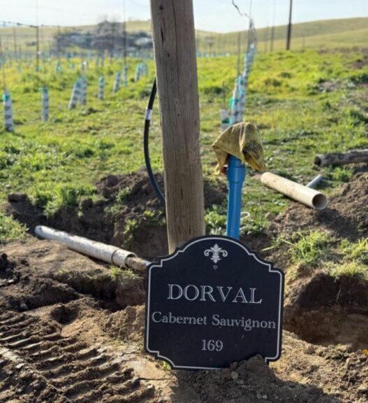 Stop #3 Dorval Vineyards and Winery