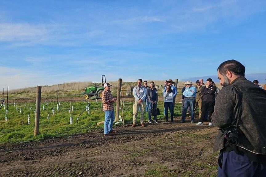 Stop #3 Dorval Vineyards and Winery