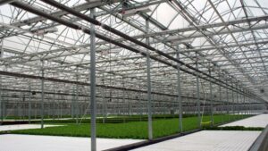 The Hard Truths About Achieving Greenhouse Success