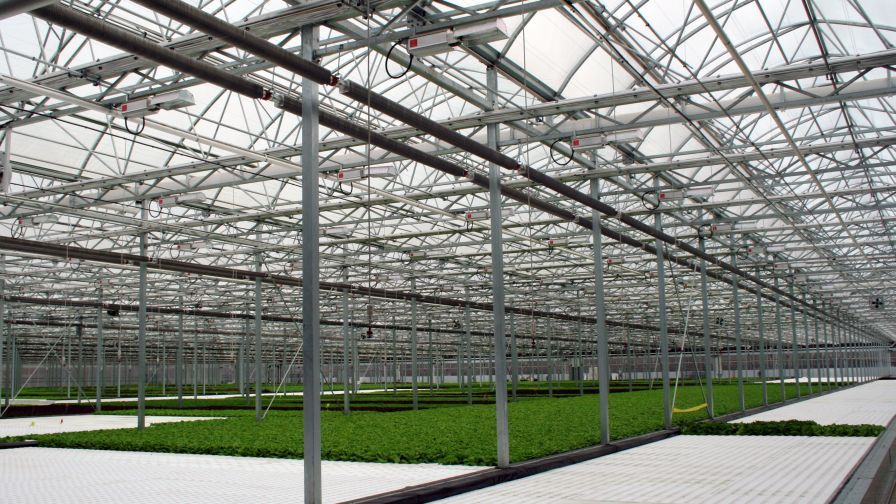 Greenhouse facility at Green City Growers in Somerville, MA.