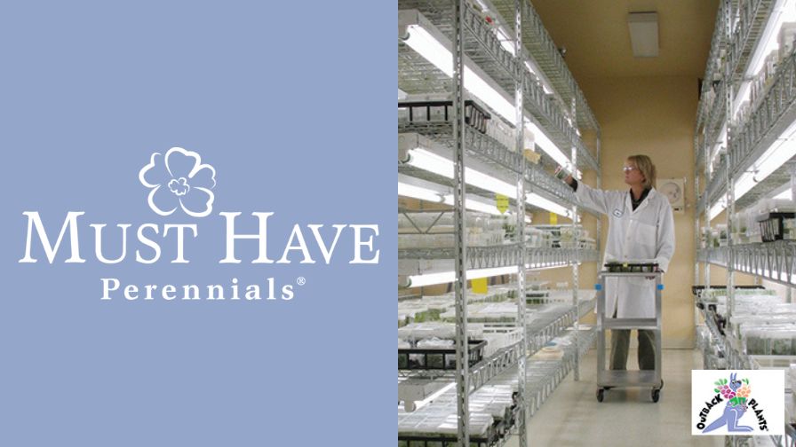 Must Have Perennials logo (L) and an lab at Outback Plants, a Ball Horticultural Company (R).