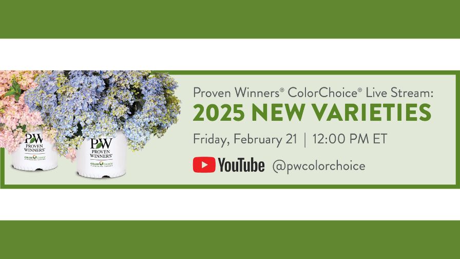 Proven Winners ColorChoice livestream event banner for debuting 32 new retail shrub varieties.