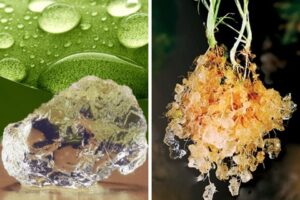 STOCKOSORB is an advanced hydrogel technology from Evonik that absorbs water in growing media before releasing it back, now nutrient-rich.
