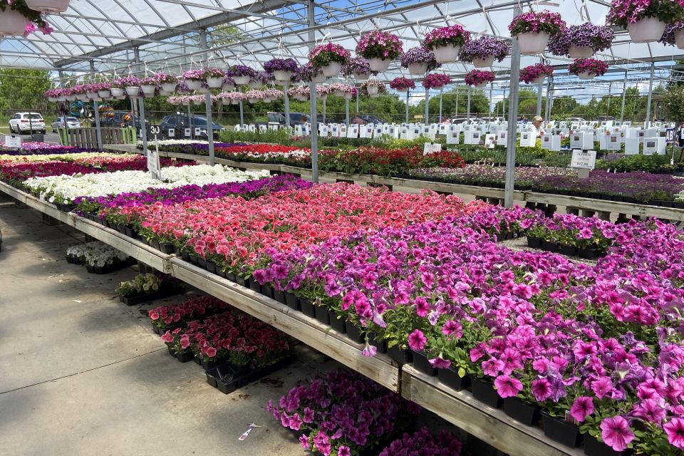 Wojo’s Greenhouse began as a modest roadside stand and has grown into more than 275,000 square feet of greenhouse space.