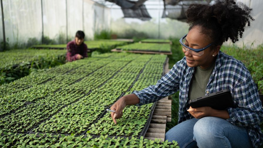 How To Overcome Barriers When Building Your Greenhouse Team