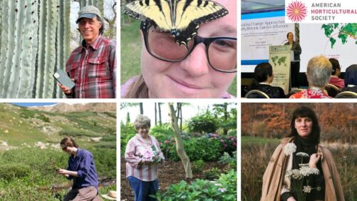 Announcing the 2025 Great American Gardeners Awards