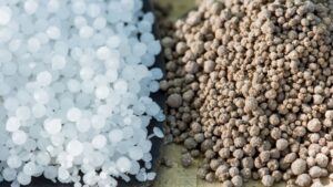 How Growers Can Address New Challenges in Plant Nutrition