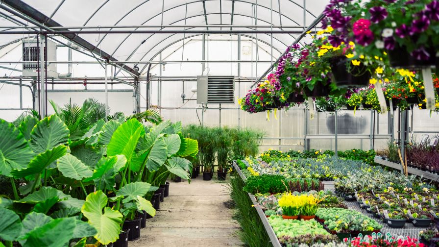 Spring Enfinity Greenhouse from Modine Manufacturing, showing HVAC heating unit and environmental controls.