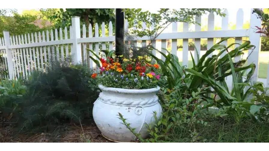 Garden along the Roselynn Carter Butterfly Trail.