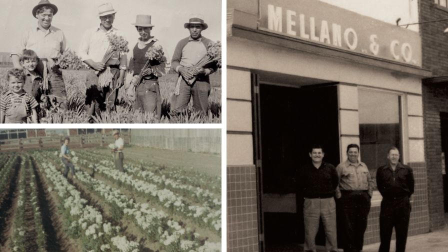 Mellano Sr, the smallest child, with Johnny Mellano, his older brother, and their father, Giovanni (Top Left), Corgiat, Mellano, and Hankemier standing under company sign (Right) and property near Knotts (Bottom Left).