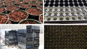 How to Successfully Stack Prefilled Containers