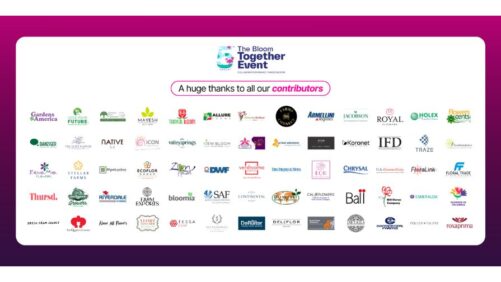 SYF and AFE Collaborate on Bloom Together Event