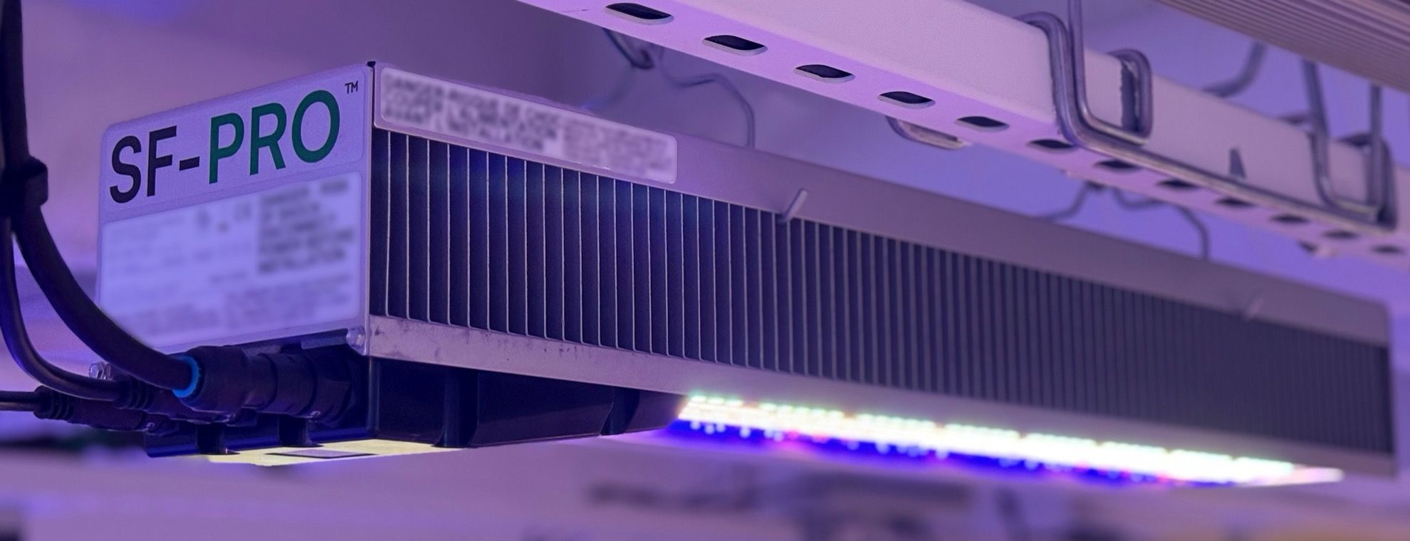 SF-Pro dynamic lighting fixture.