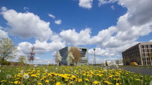 How the Best Agriculture Colleges in the World Rank in 2026