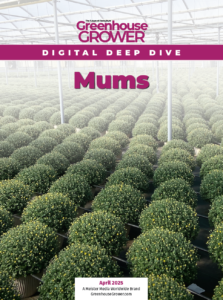April 2025 Digital Deep Dive cover on Mums