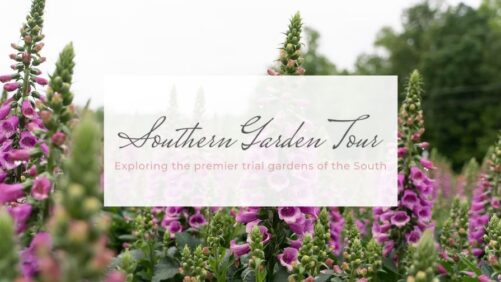 Registration Now Open for the 2026 Southern Garden Tour