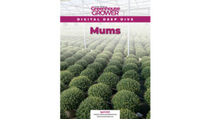 Don’t Miss Greenhouse Grower’s Digital Deep Dive on Mums