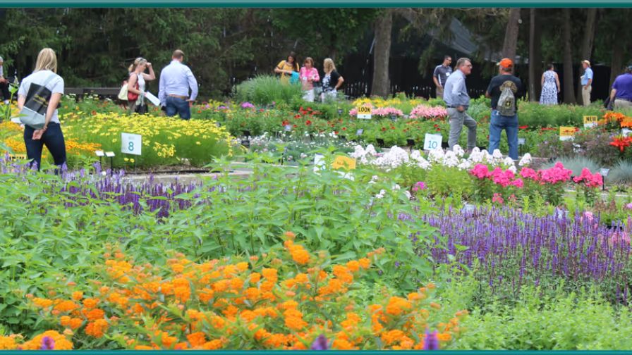 Registration for Darwin Perennials Day 2025 is now open.