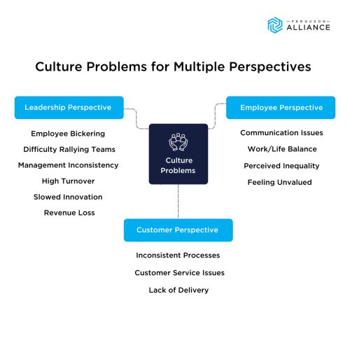 A graphic from Ferguson Alliance on culture problem perspectives asking "Are any of these things happening in your business?"