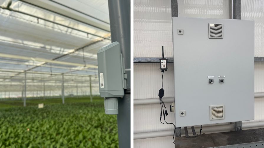 Wireless sensors report conditions across more places in the greenhouse to complement data from existing climate control systems. Energy monitors report energy use from pumps and fans real-time to the cloud where data is ready for viewing online from any location.