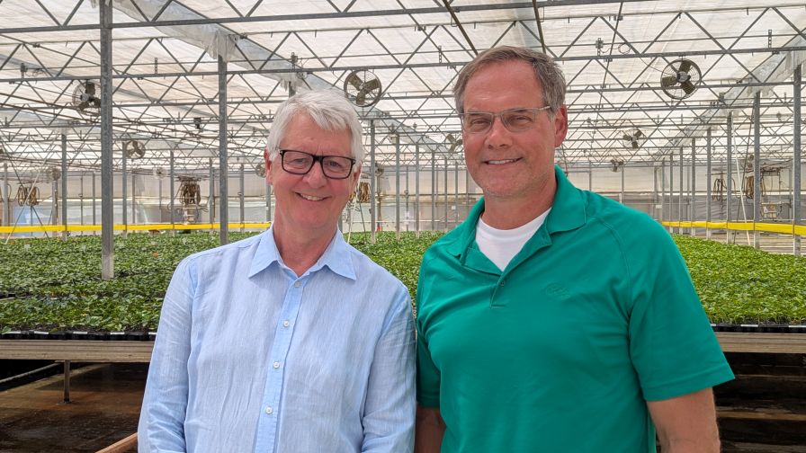 Graff Breeding and Costa Farms.
