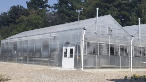 The Top Greenhouse Lessons Learned in 2025