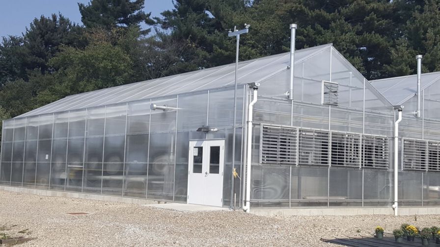LLK Greenhouse Solutions efficiency, safety, and sustainability.
