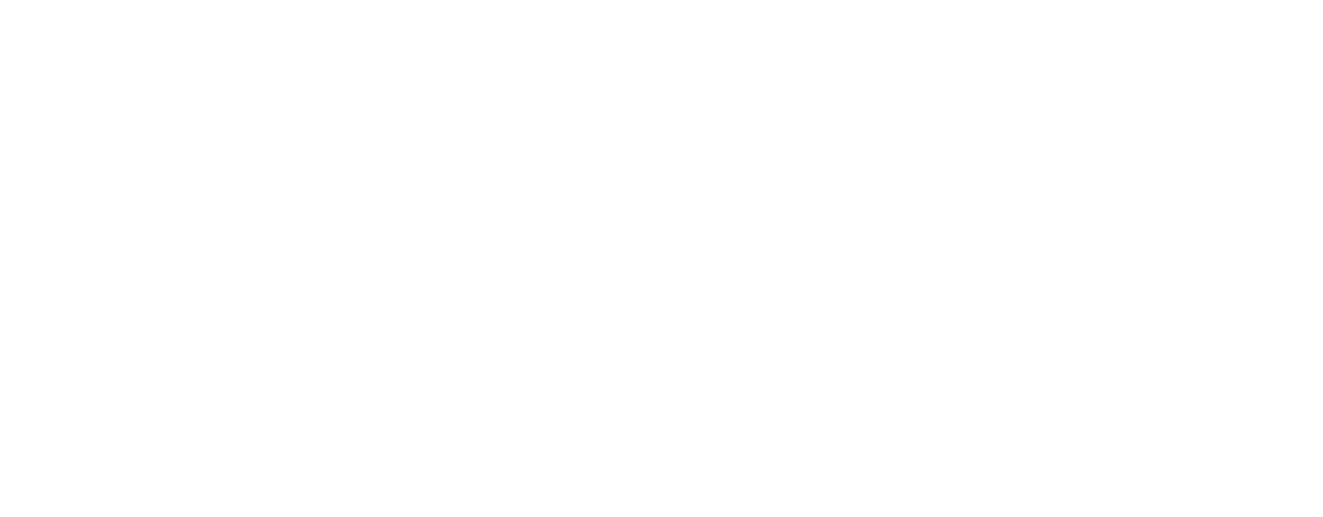 medal of excellence 2025