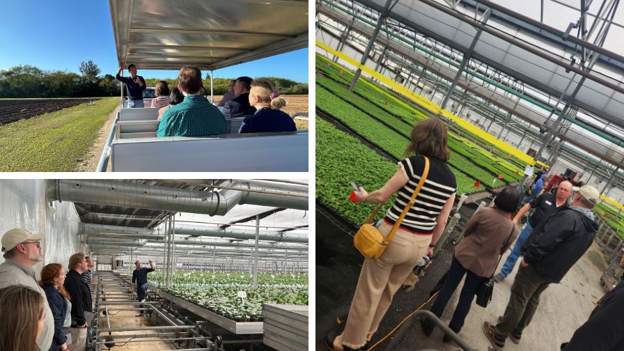 (Clockwise from top left) Xingbo Wu leading the tour, a Costa Farms visit, the Silver Vase tour, from the University of Florida, Institute of Food and Agricultural Sciences.
