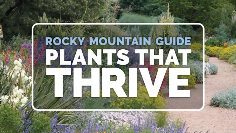 The 'Rocky Mountain Guide Plants That Thrive' new edition cover.