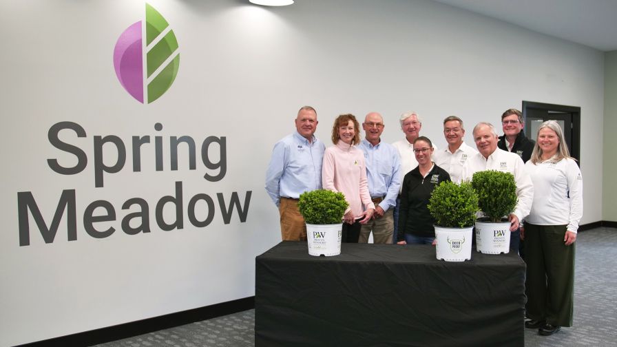 Spring Meadow Nursery staff posing with NewGen Boxwood varieties.
