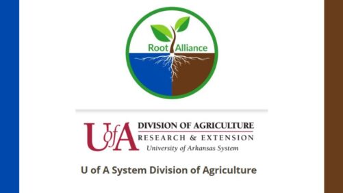Learning Opportunity: New Root Zone Solutions for Controlled Environment Horticulture