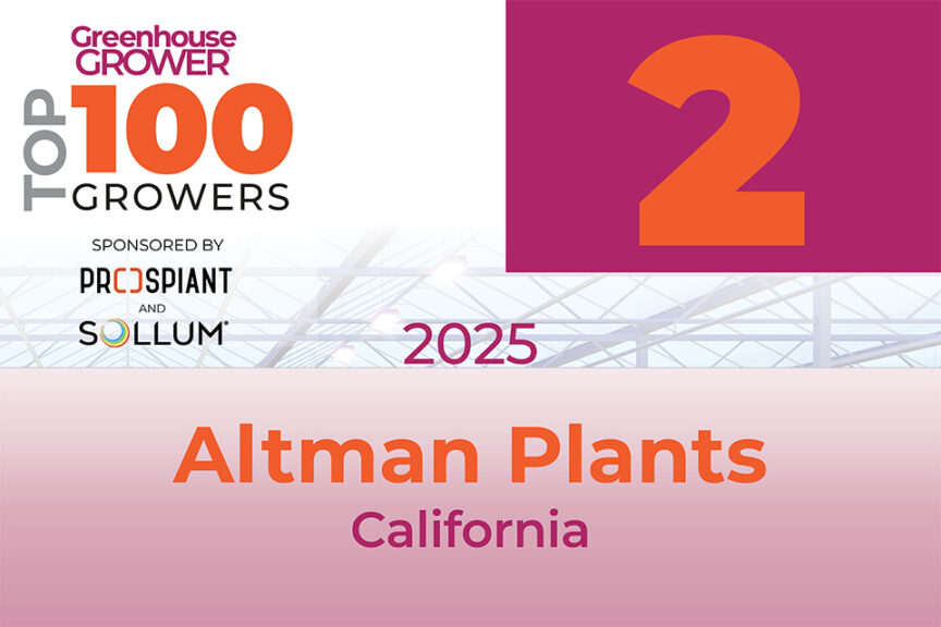 #2: Altman Plants