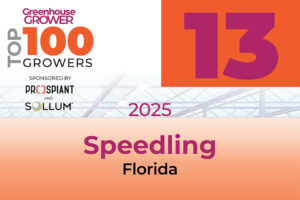 #13: Speedling