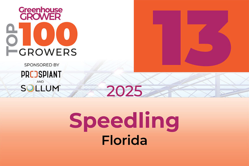 #13: Speedling