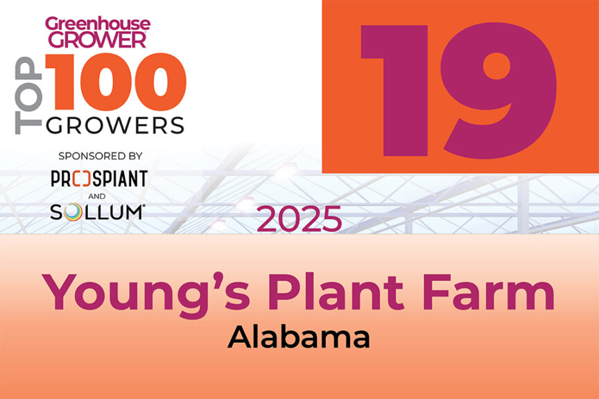 #19: Young's Plant Farm