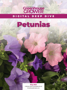 May 2025 Digital Deep Dive cover on Petunias