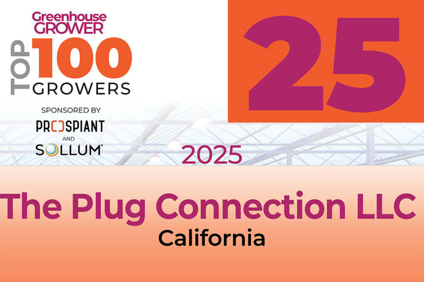 #25: The Plug Connection LLC